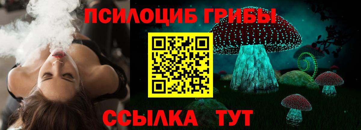 Псилоцибиновые грибы MAGIC MUSHROOMS Михайловка